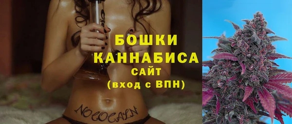хмурый Гусиноозёрск