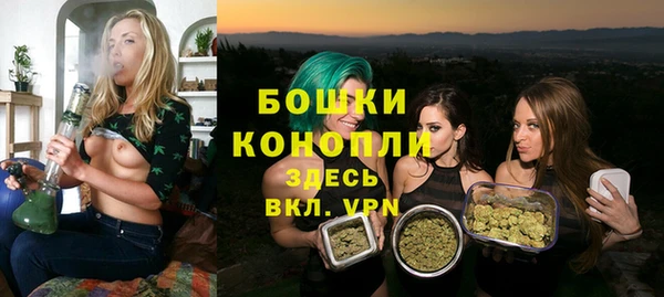 СК Гусь-Хрустальный