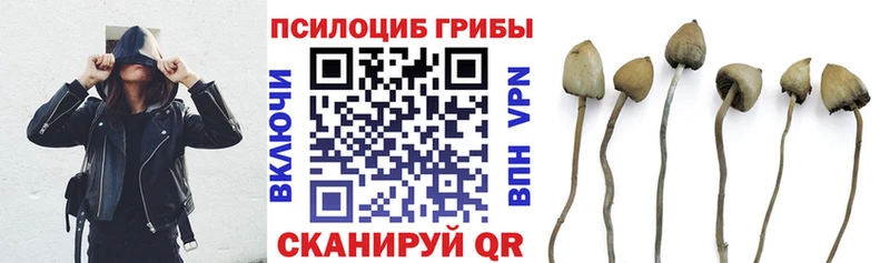 что такое наркотик  Солигалич  Псилоцибиновые грибы GOLDEN TEACHER 
